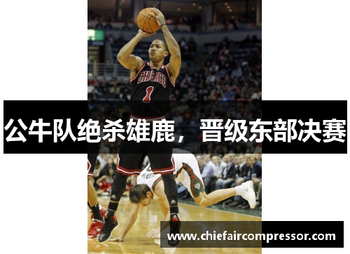 公牛队绝杀雄鹿，晋级东部决赛