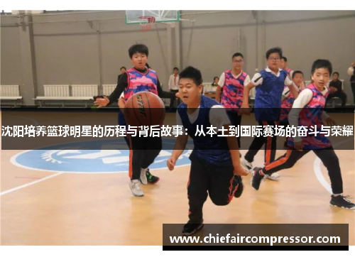 沈阳培养篮球明星的历程与背后故事：从本土到国际赛场的奋斗与荣耀