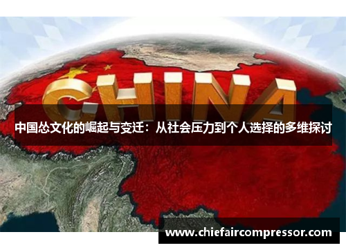 中国怂文化的崛起与变迁：从社会压力到个人选择的多维探讨