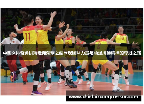中国女排奋勇拼搏走向荣耀之巅展现团队力量与顽强拼搏精神的夺冠之路