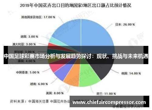 中国足球彩票市场分析与发展趋势探讨：现状、挑战与未来机遇