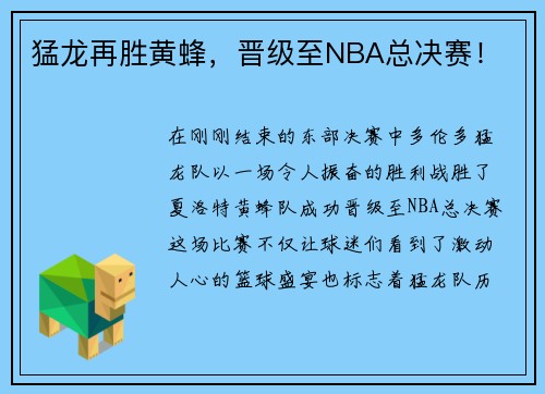 猛龙再胜黄蜂，晋级至NBA总决赛！